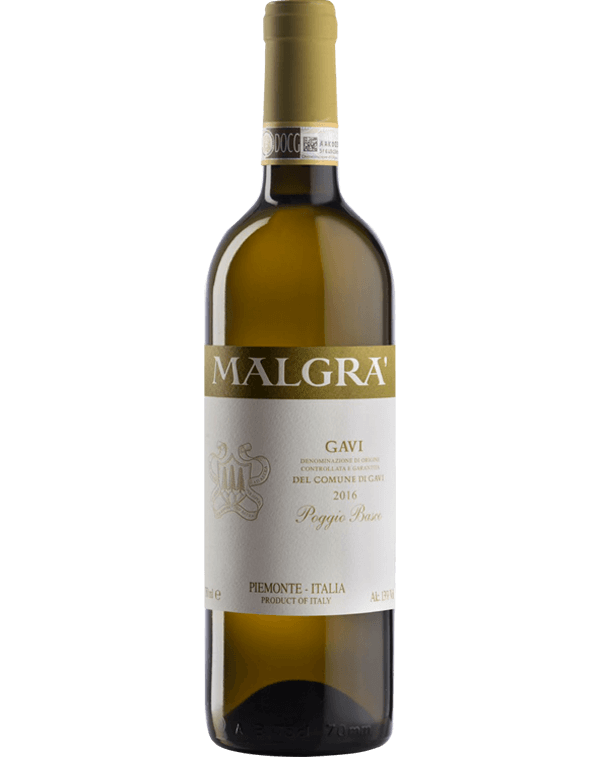 Gavi del comune di Gavi DOCG Poggio Basco| White Wine