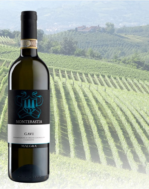 Gavi DOCG Montebastia| White Wine