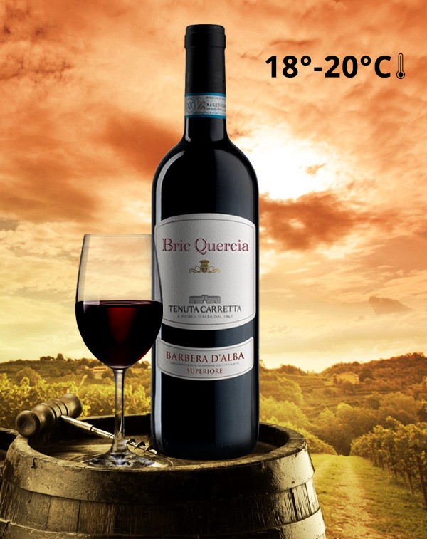 Barbera D'Alba DOC Superiore Bric Quercia Magnum| Red Wine