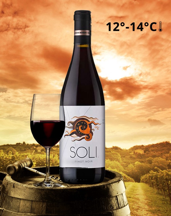 SOLI Pinot Noir| Vin Rosu