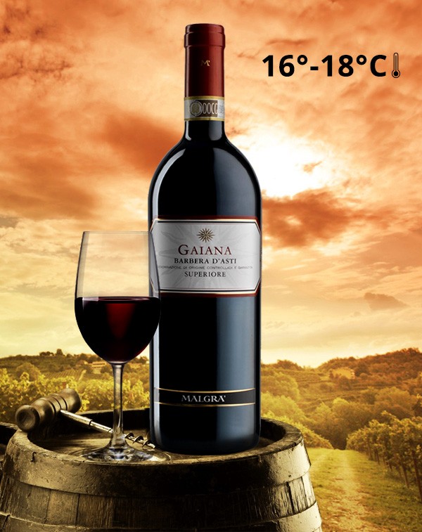 Barbera D'Asti DOCG Superiore Gaiana Magnum| Red Wine