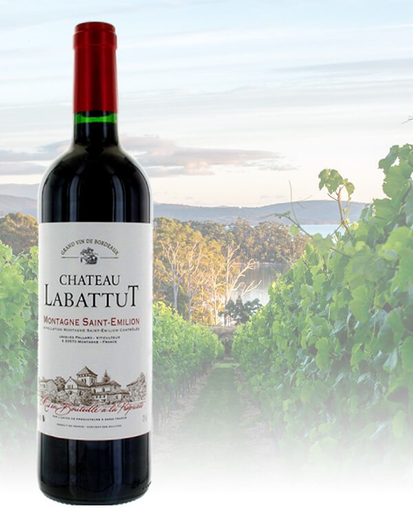 Chateaux Labattut-Montagne SE| Red Wine
