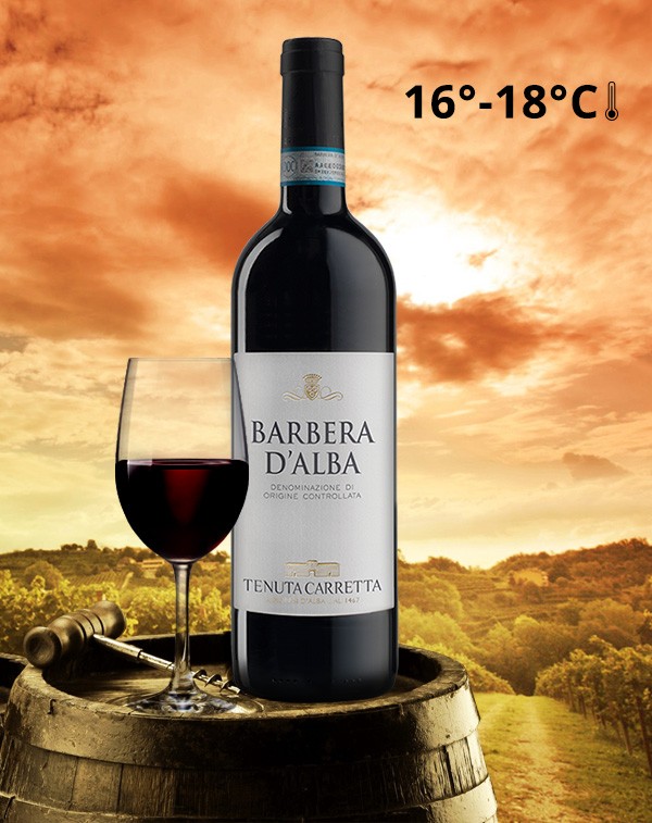Barbera d'Alba DOC| Red Wine